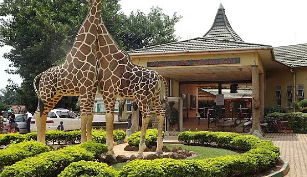 Cheap Flight London to Entebbe