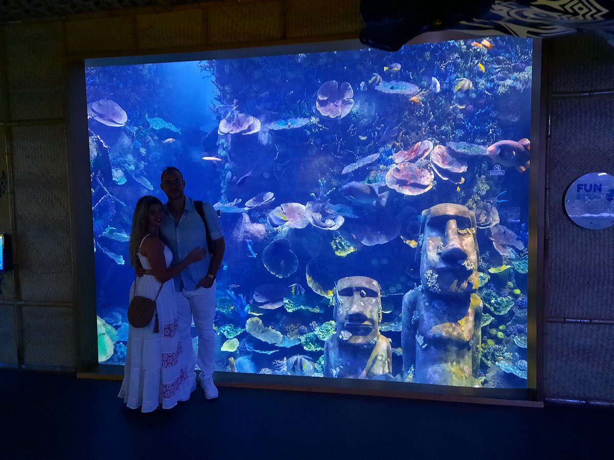 National Aquarium Abu Dhabi – All Access Pass