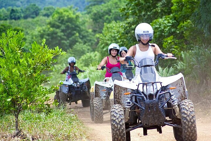 Activity