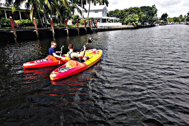 Activity