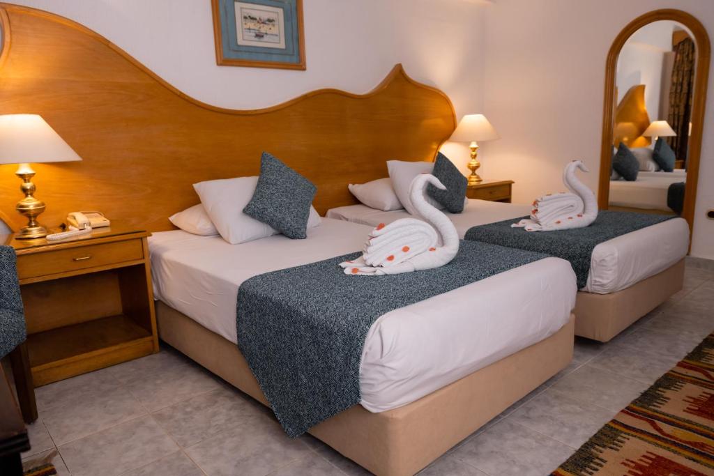 Turquoise Beach Sharm El Sheikh Holiday Package image 2