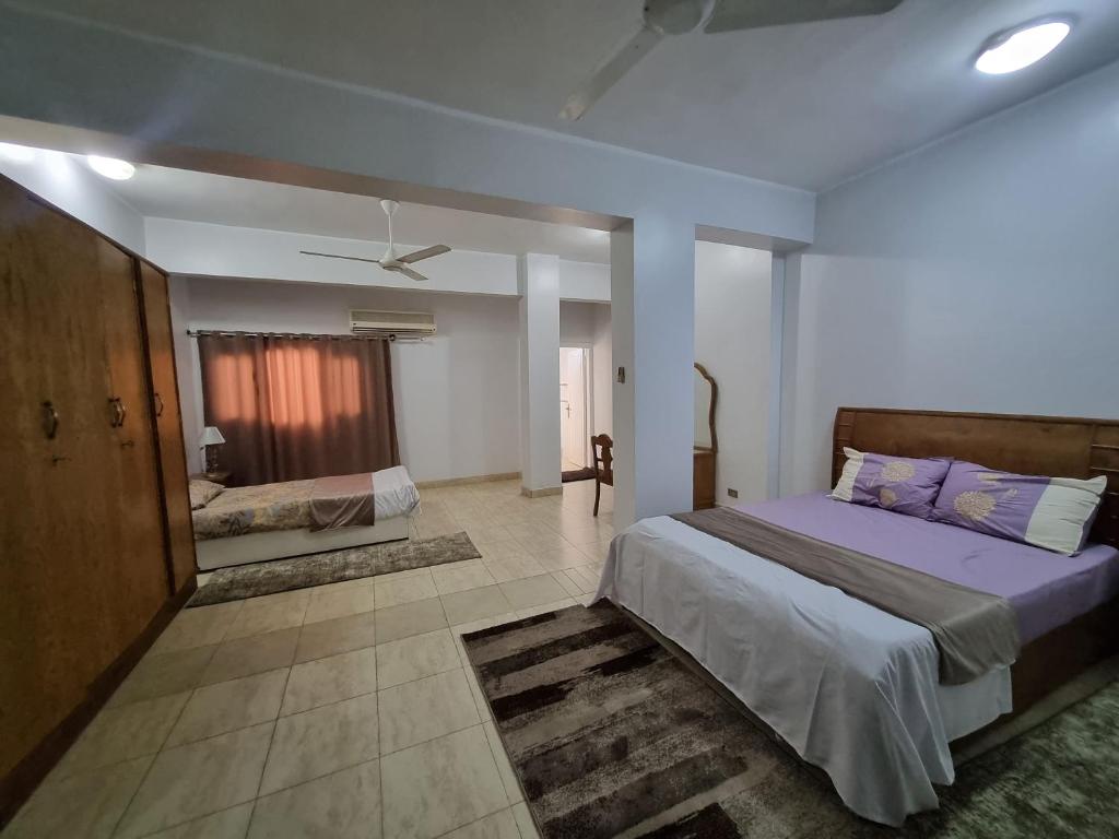 Abo Hisham Nile Flat Luxor Holiday Package image 4