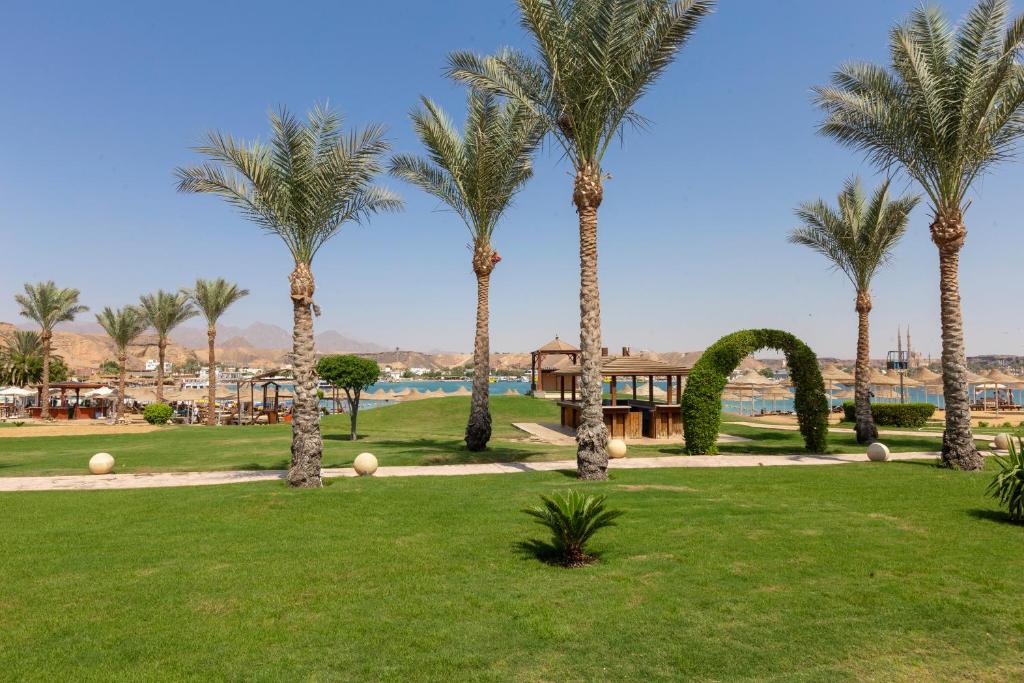 Xperience St.George Sharm El Sheikh Holiday Package image 2