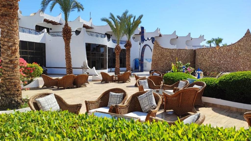 Turquoise Beach Sharm El Sheikh Holiday Package image 5