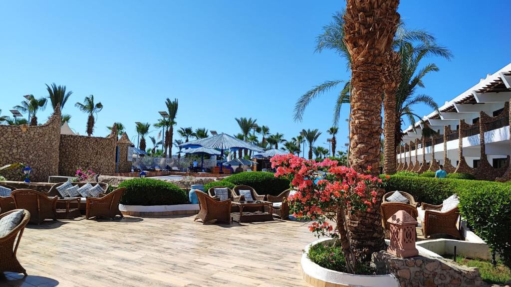 Turquoise Beach Sharm El Sheikh Holiday Package image 4