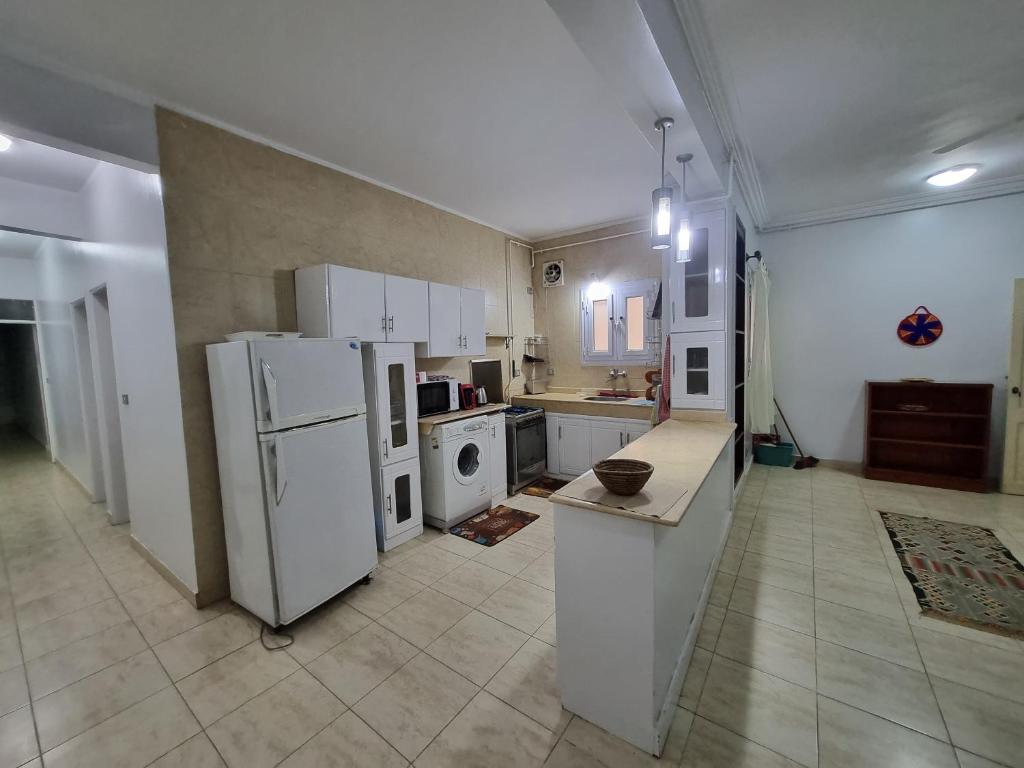 Abo Hisham Nile Flat Luxor Holiday Package image 3