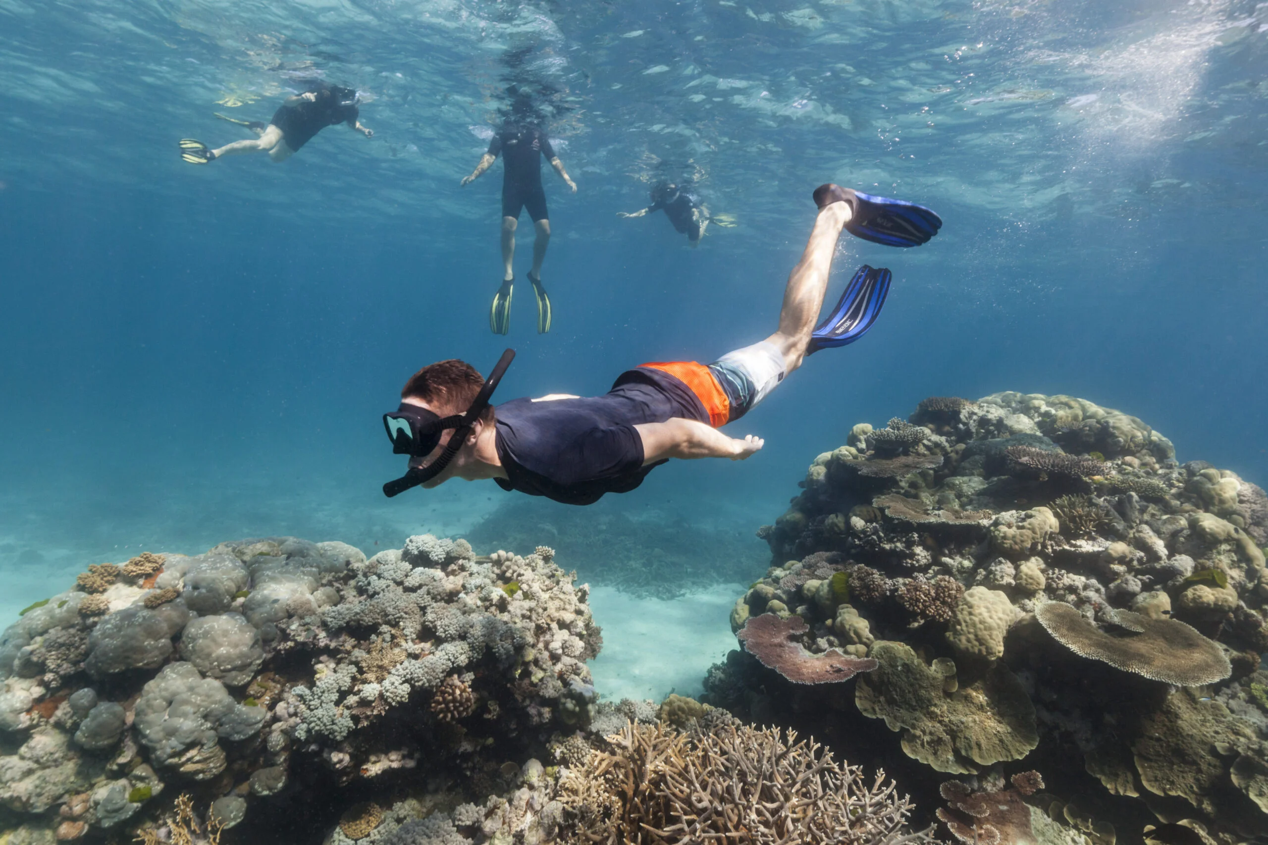 Snorkeling and Scuba Diving